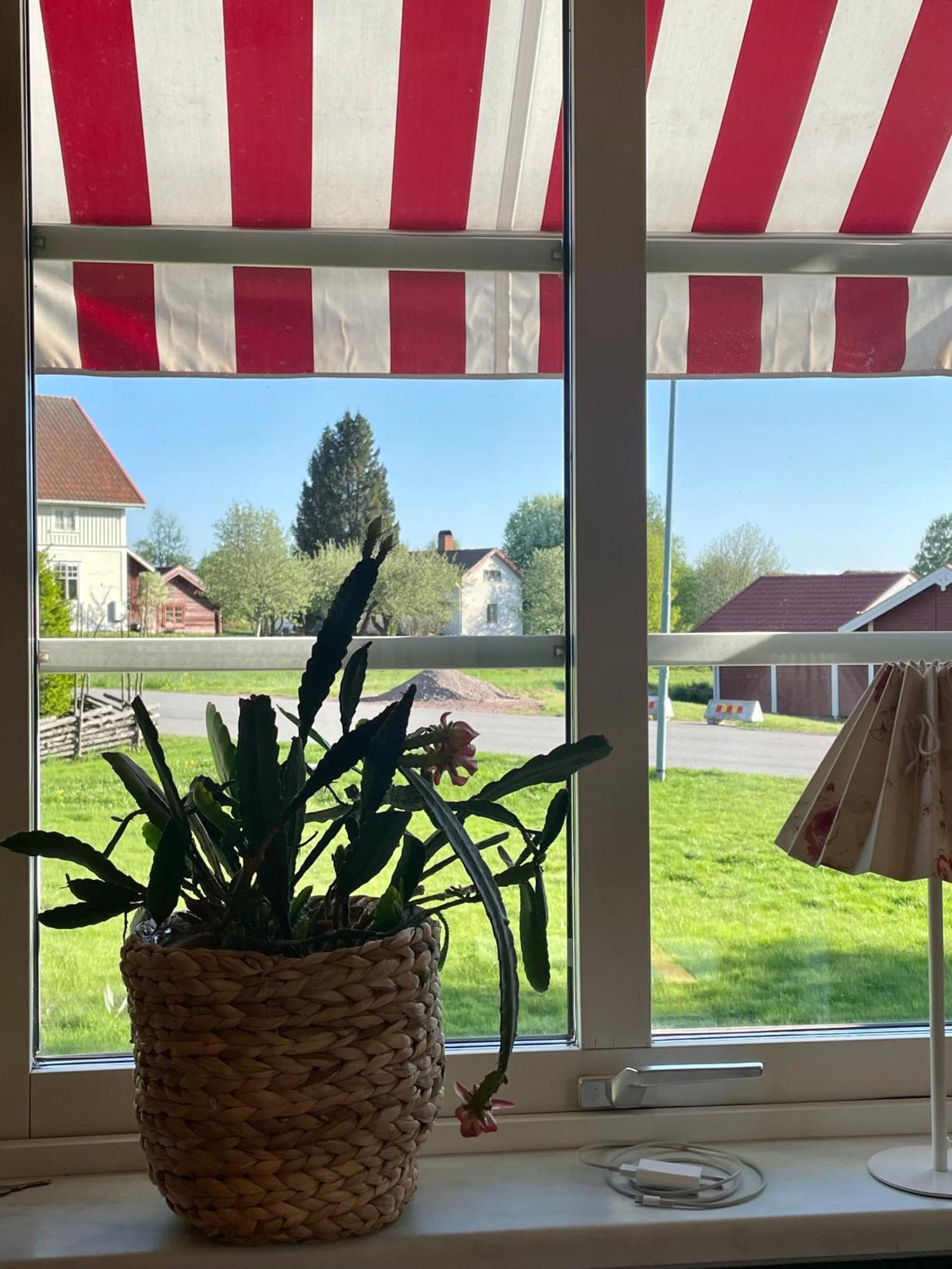 Villa Bubo Mysigt Litet Hus I Noret *