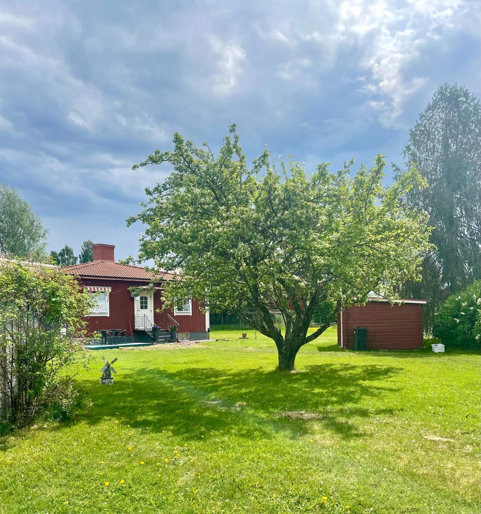 Bubo Mysigt Litet Hus I Noret Villa *